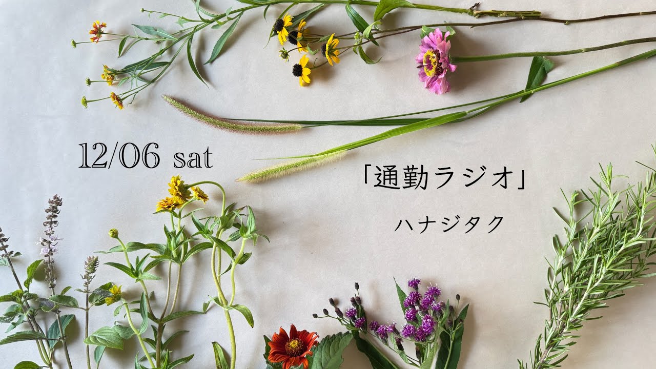 #7 ハナジタクの「通勤ラジオ」
