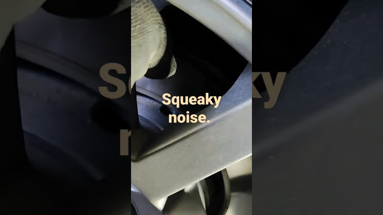 Rear brakes squeaky noises. (Why are the brakes making squeaky noises? Stay tuned and you find out.)