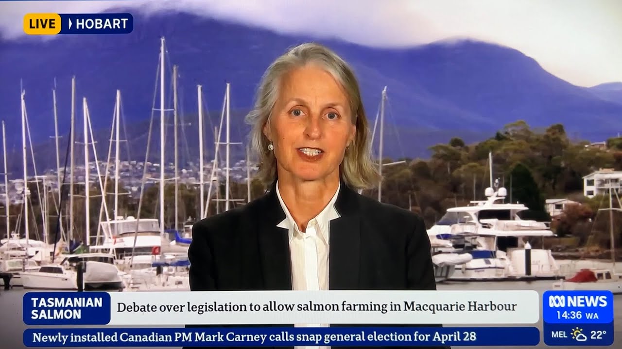 Removing a critical safeguard: Experts slam PM's environmental law amendments for salmon sector