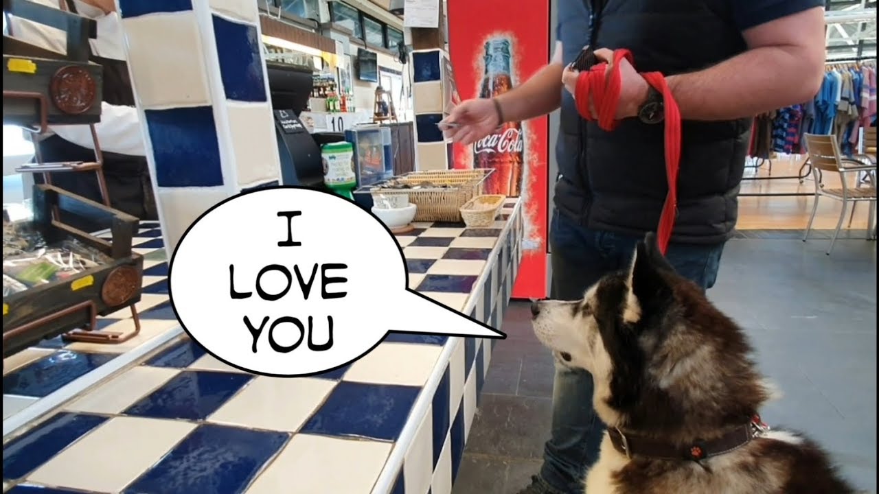 Dog speaks to people and they speak back | Dog friendly UK