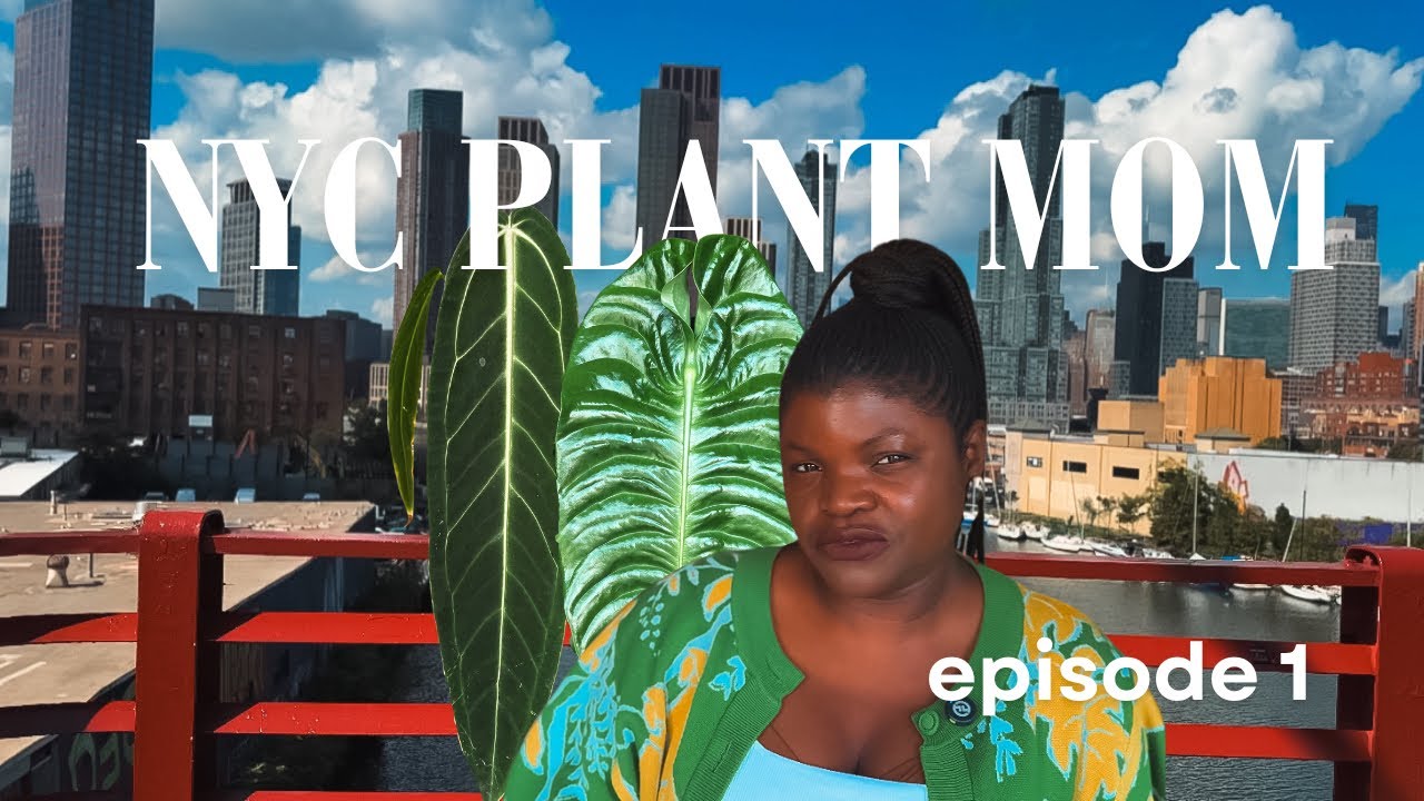 Life of an NYC Plant Mom | Plant chores, watering & more