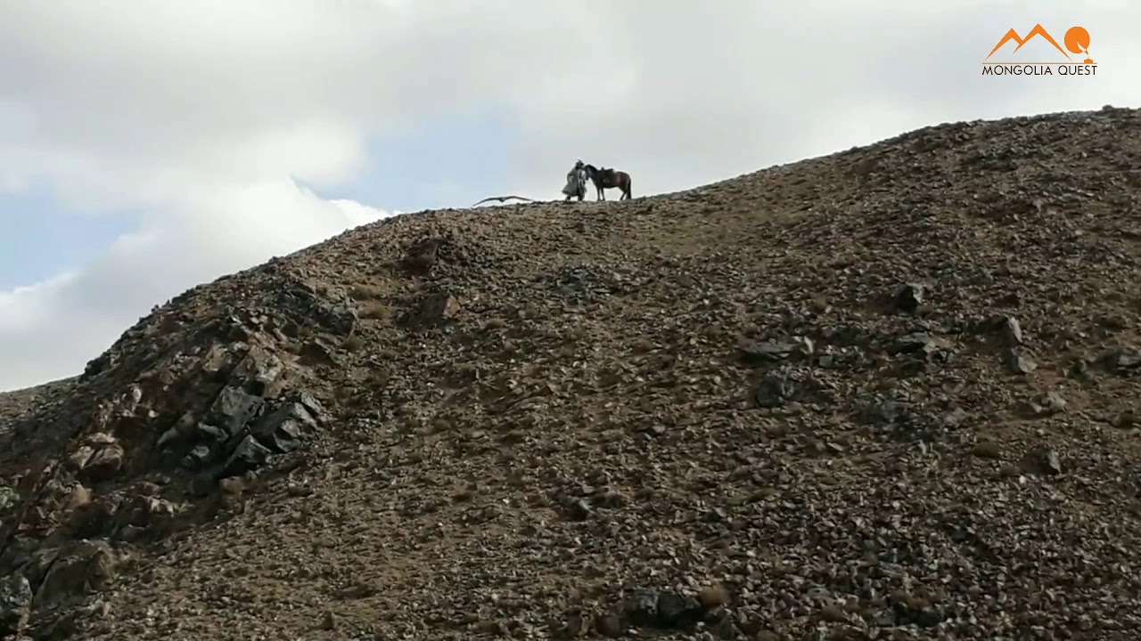 Golden eagle trainer Aigiirem Asker, Sagsai river's valley, Bayan-Ulgiy, Mongolia
