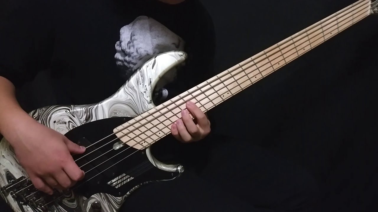 【Protest The Hero】Clarity Bass Cover