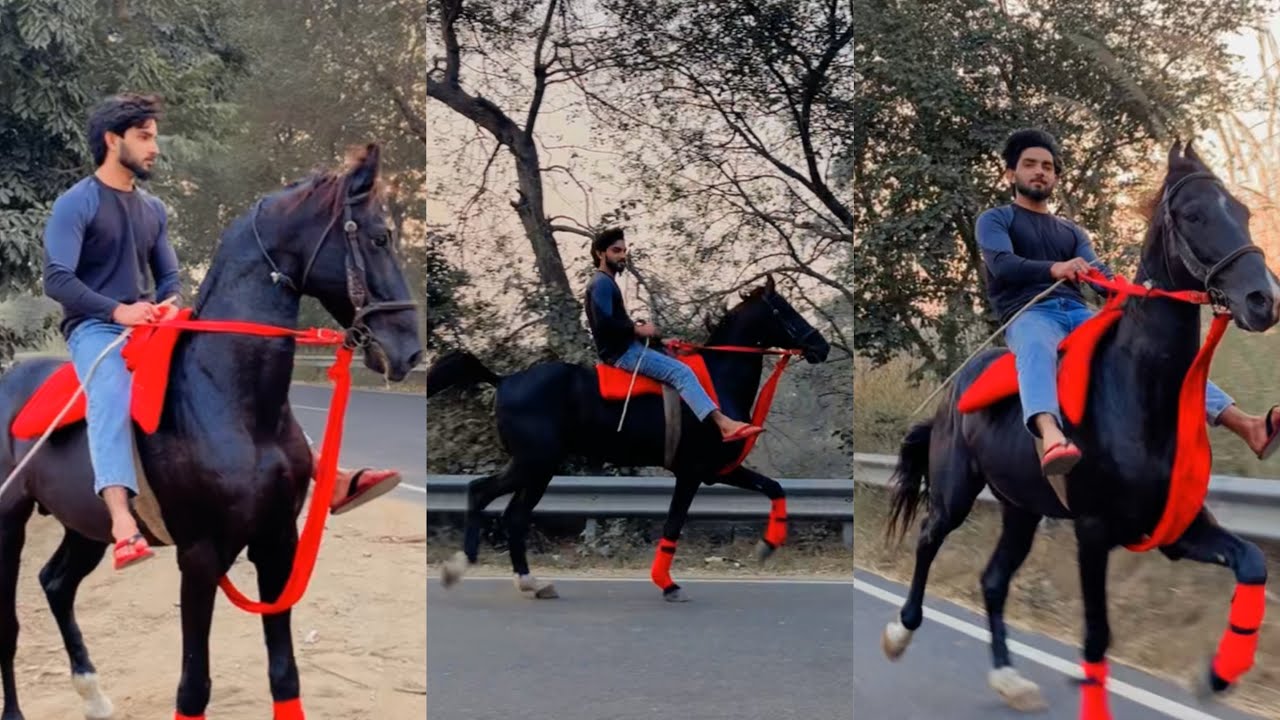 Riding ￼vlog | Rustum | kaifkazmi0110 |