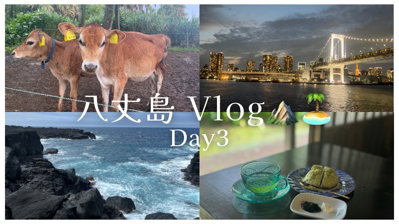 【八丈島vlog🏝️】南千畳岩海岸🌊/やたけ製菓🍞/ゆーゆー牧場🐮/クルーズ🛳️ 2泊3日 day3