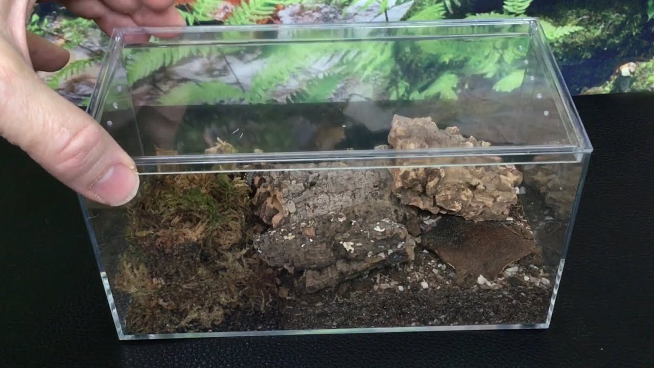Обзор корпуса для изопод: www.Microvarium.com