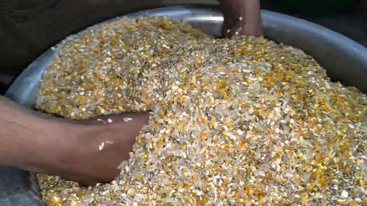 मुर्गियों के लिए घर पर दाना कैसे बनाएं | murgiyon ke liye esa dana banaye | #feed #chicken #hen #pet