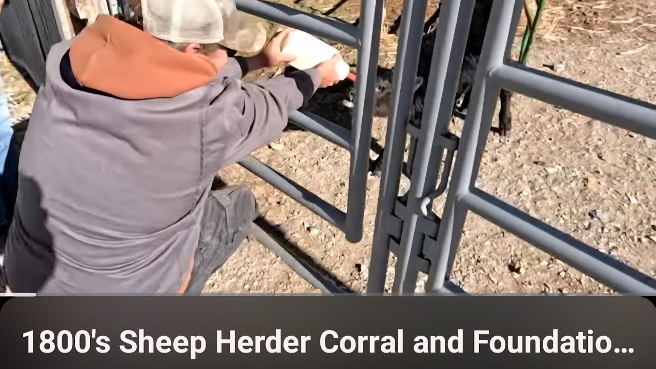 1800's Sheep Herder Corral and Foundations