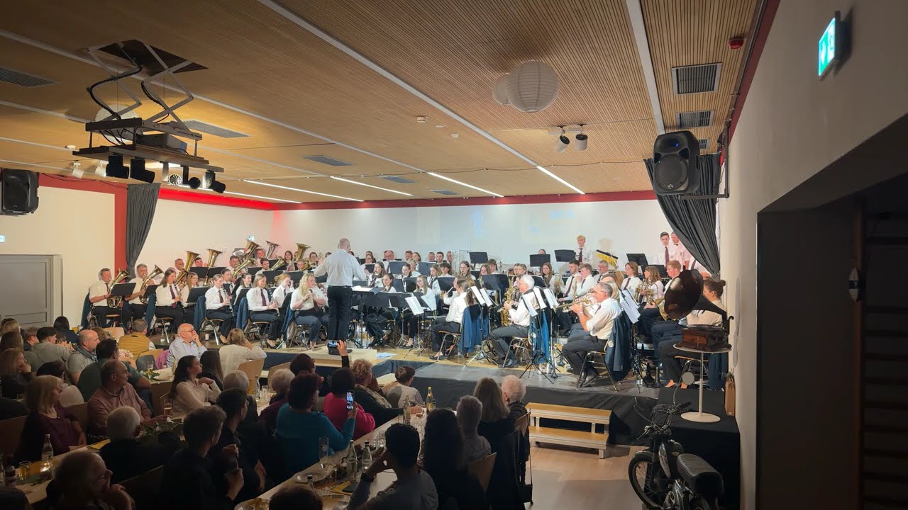 Avicii - Musikverein Birndorf Jahreskonzert 2024