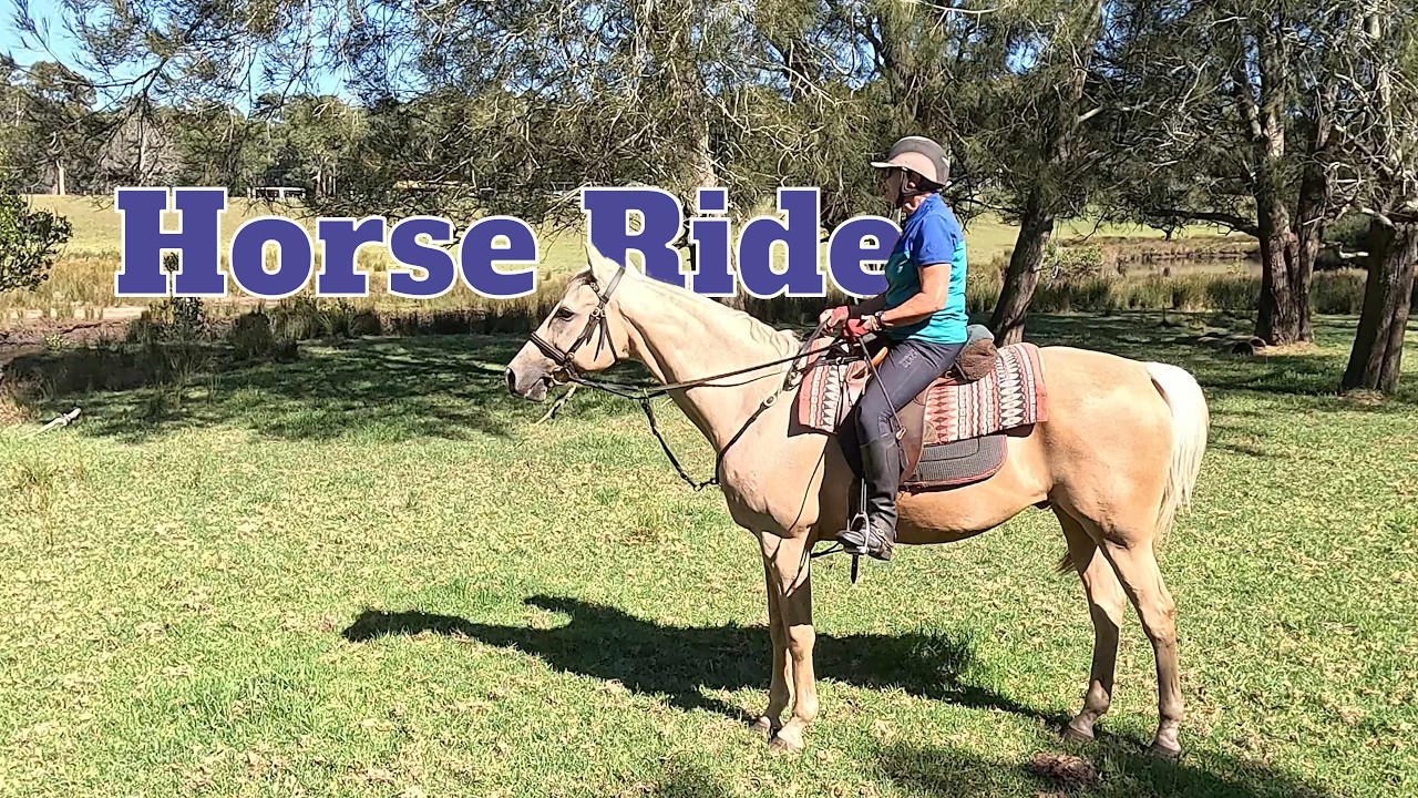 Horse Ride