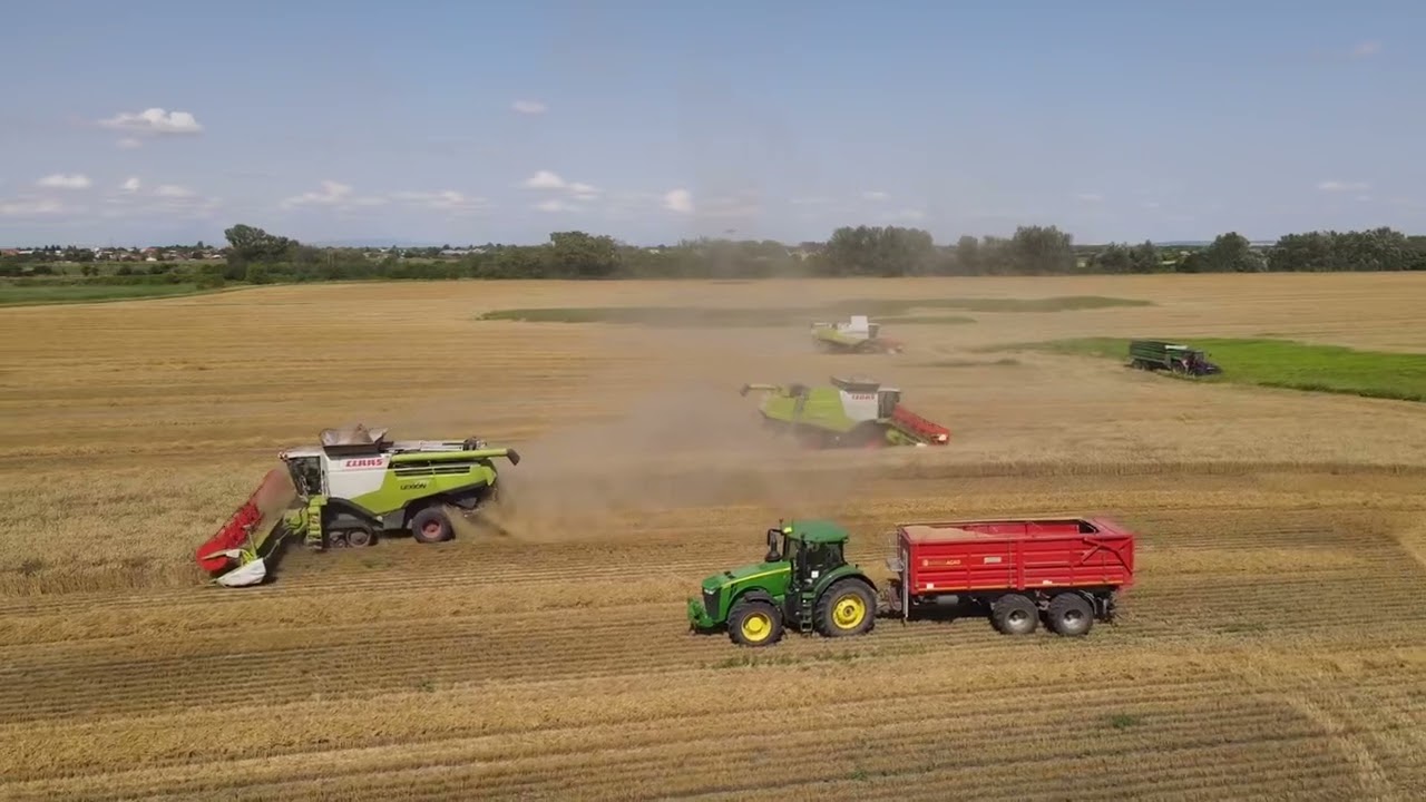 Žatva Tvrdošovce 2024 - Claas Lexion