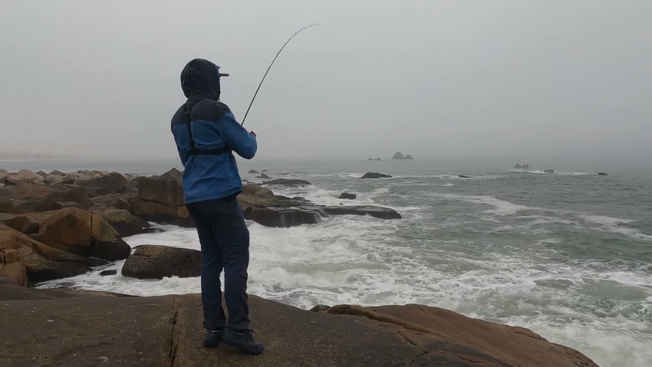 Praia da Ribanceira, pescaria no costão 2024 #fishing #pesca