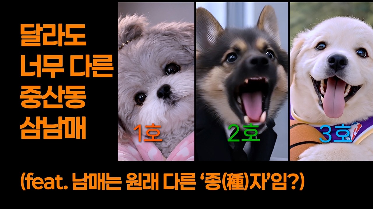 달라도 너무~ 다른 삼남매. #강아지 #중산동 #남매 #3남매 #siblings