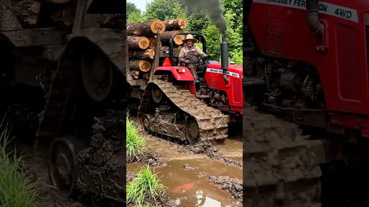 🚜 Massey Ferguson 241 DI 🇬🇧 Tractor | Extreme Mud Logging Challenge  #shorts #masseyferguson