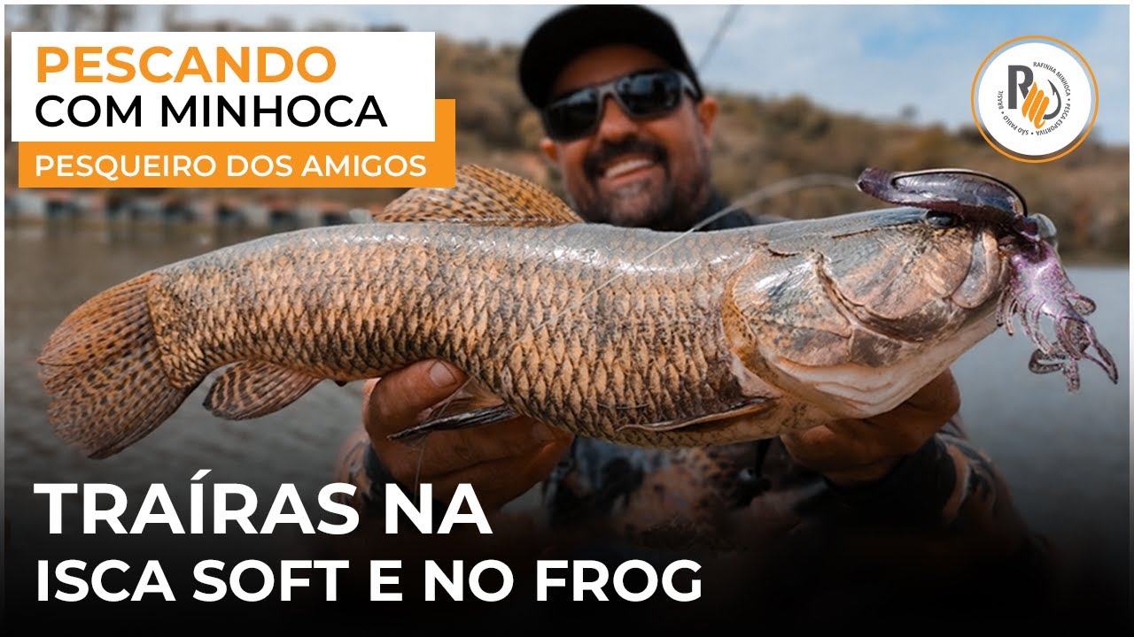 Traíras na Isca soft e no Frog - Aprenda técnicas no Pescando com Minhoca
