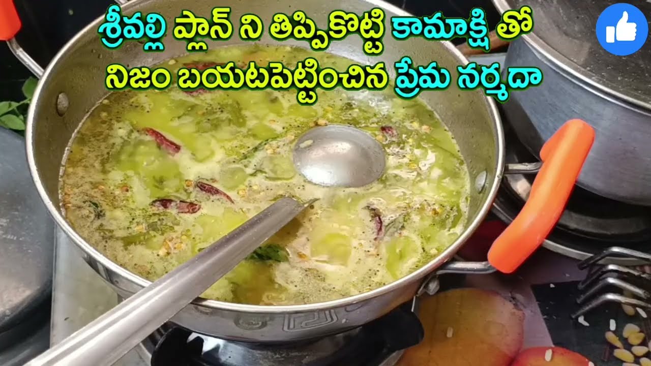 శ్రీవల్లి ప్లాన్ ని తిప్పి కామాక్షి తో బయటపెట్టించిన ప్రేమ నర్మదా