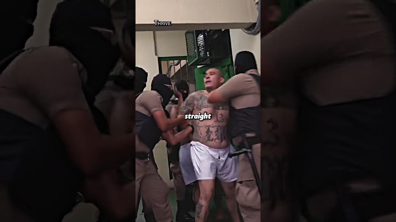 How Gangs Treats CHOMOS In Prison