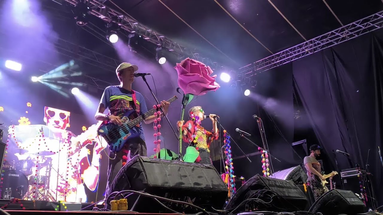 ICR 2024 - Aterciopelados