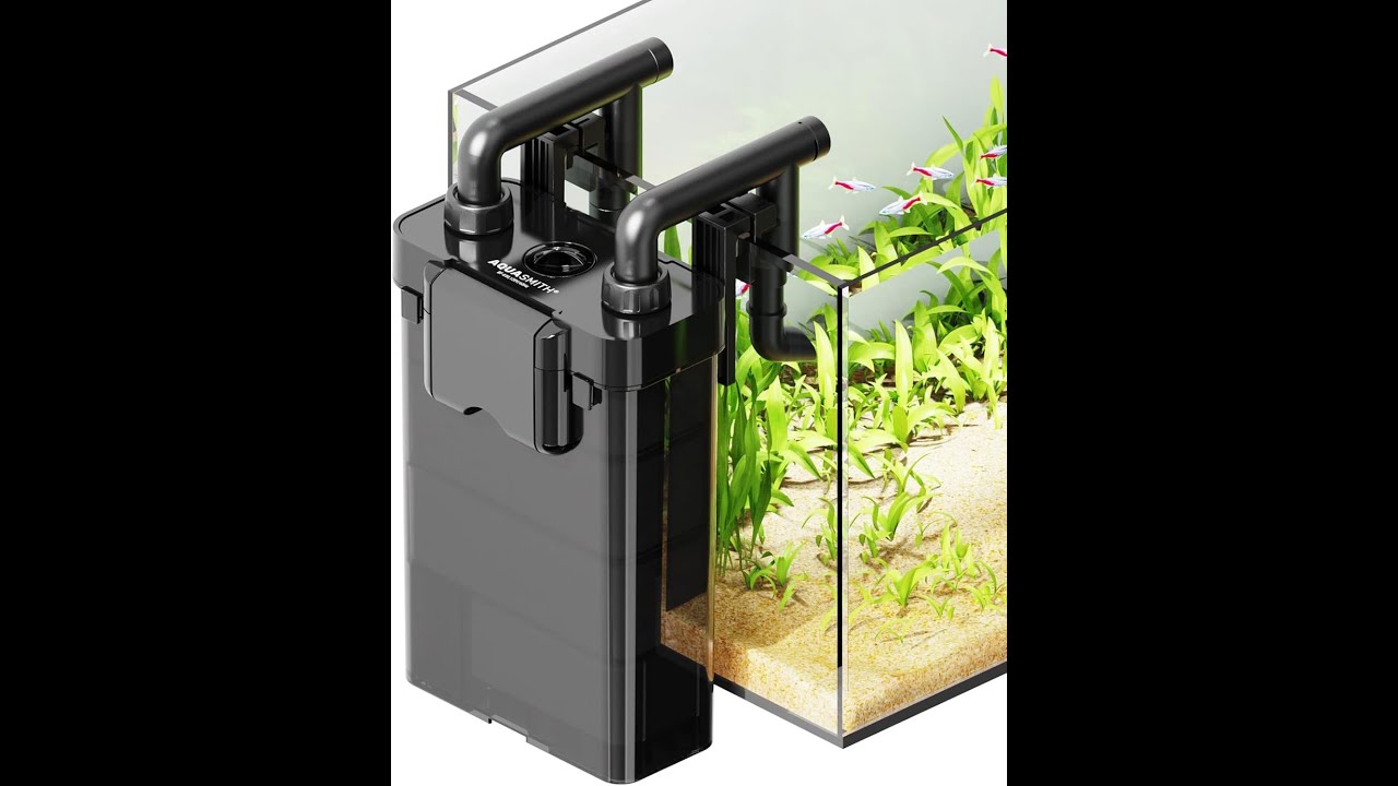 Aqua Smith BF- 650 .A hang-on-the-back canister filter, so quiet you would think it’s not running.