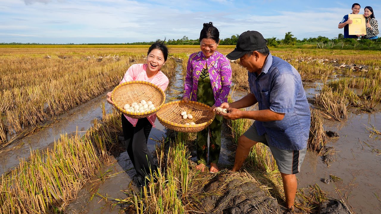 Cùng Cha Mẹ Vợ nửa đêm xem Ghe Vịt Chạy đồng ở Nhà Phan Diễm lụm trứng Vịt ăn toàn món ngon Miền Tây