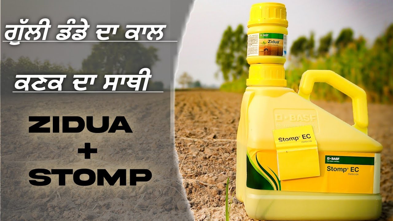 Stomp + Zidua (Jodi) : BASF