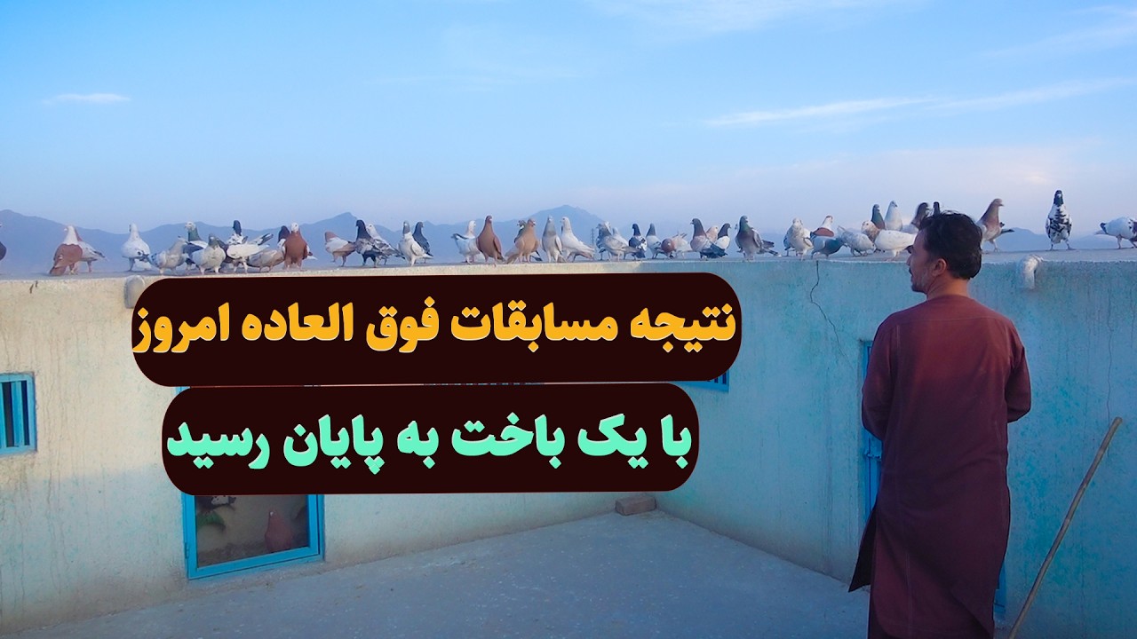 0467 / نتیجه مسابقات فوق العاده امروز با یک باخت به پایان رسید/Afghan Shawqi