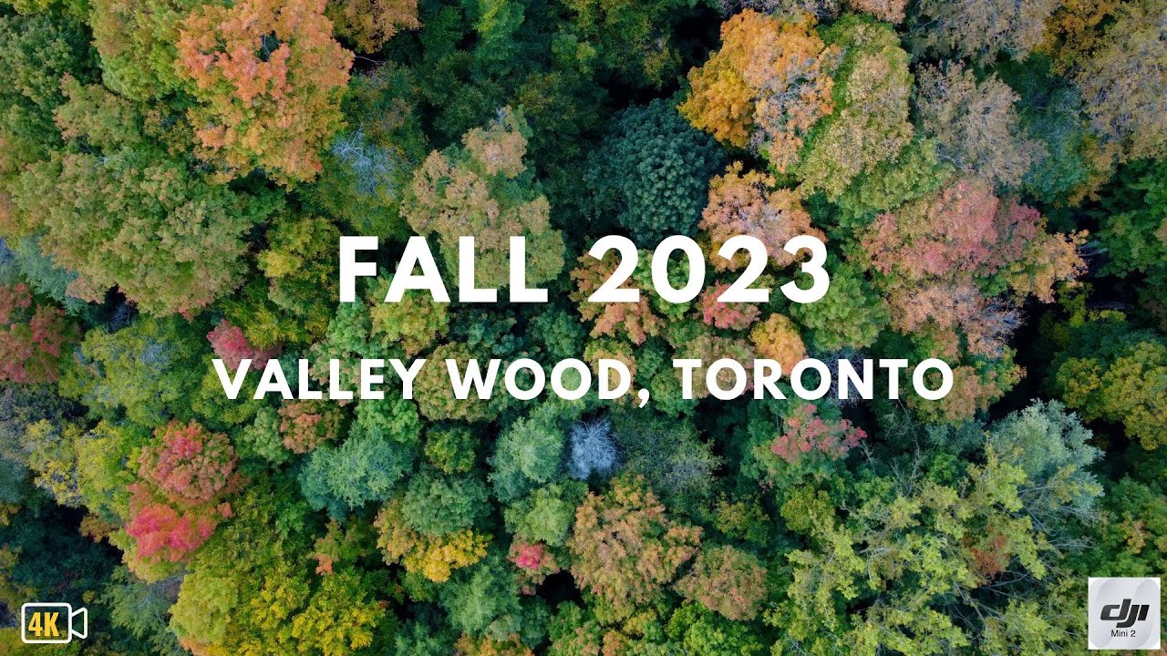 Fall 2023 at Valley Wood, Toronto [4K Drone Video] | DJI Mini 2