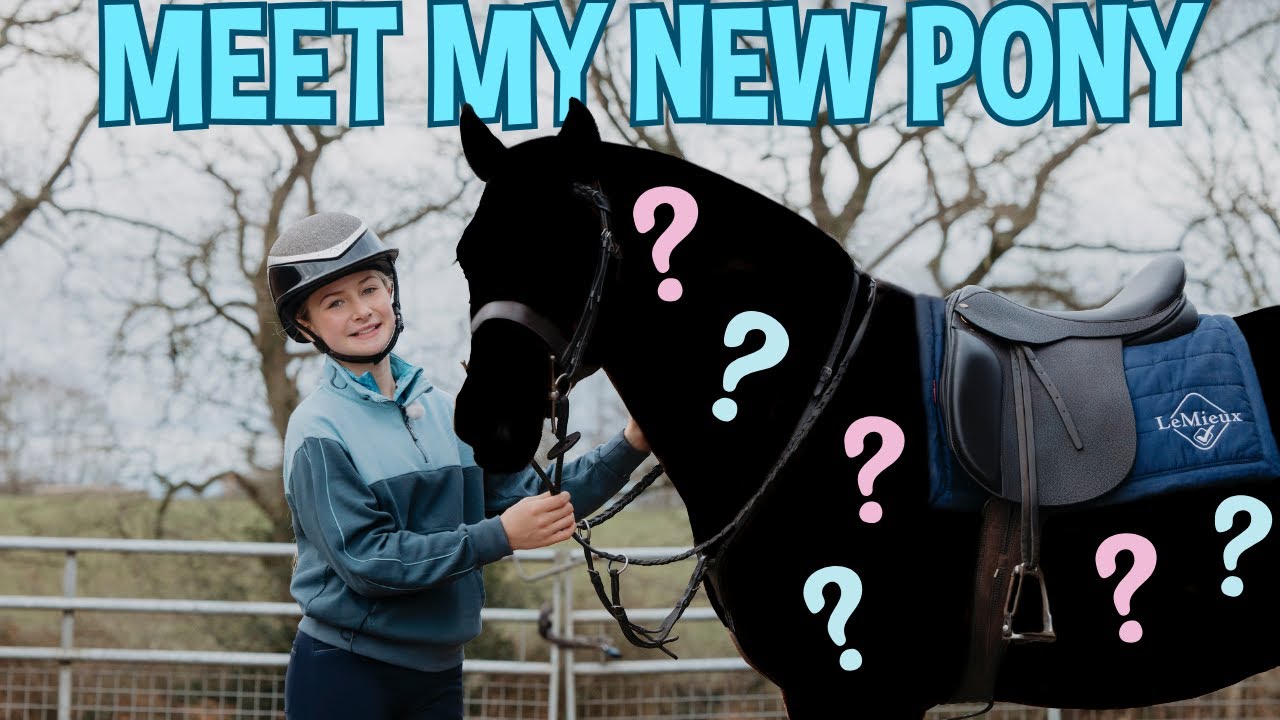 MEET MY NEW PONY!