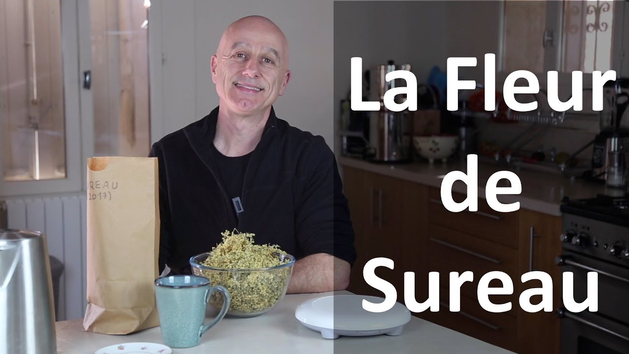 Fleur de sureau : comment l'utiliser