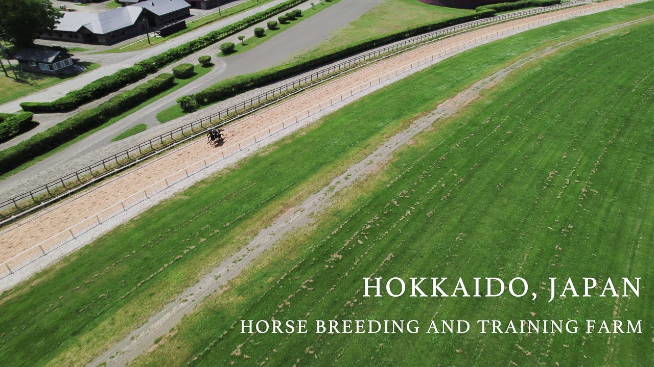 Horse breeding and training farm in Hokkaido, Japan.