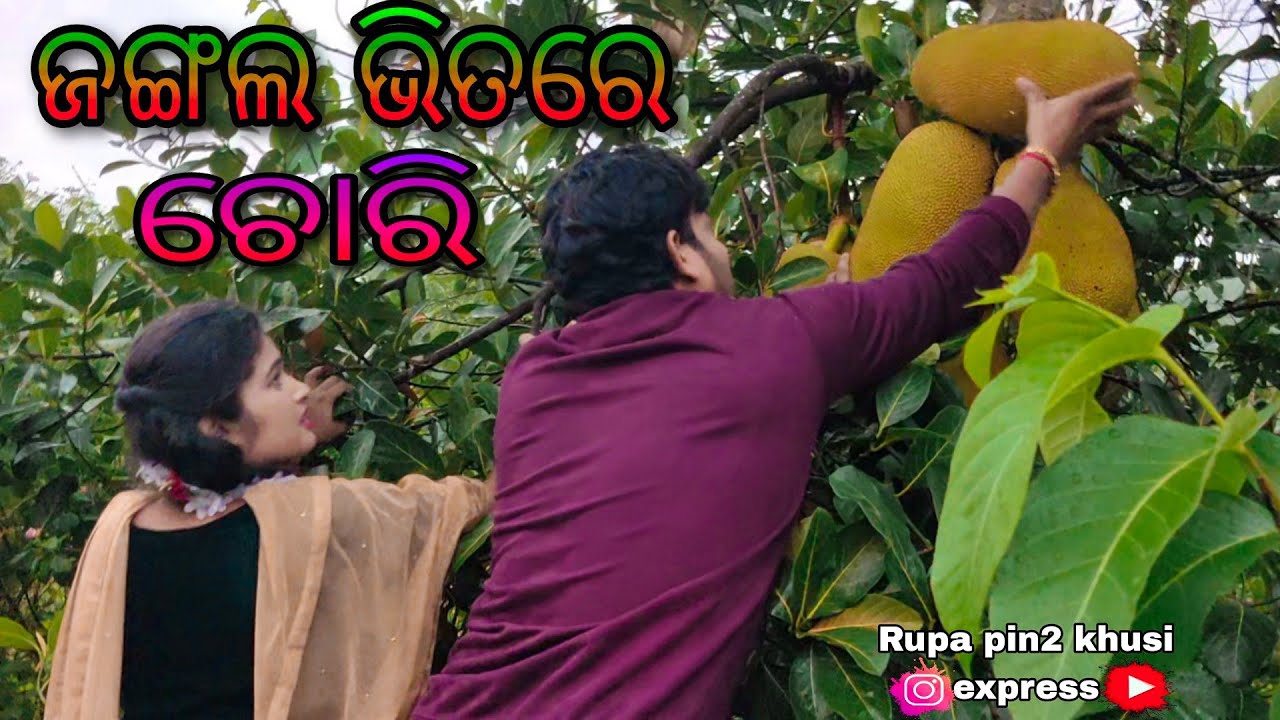 ଜଙ୍ଗଲ ଭିତରେ ଚୋରି / Rupa Pin2 Khushi