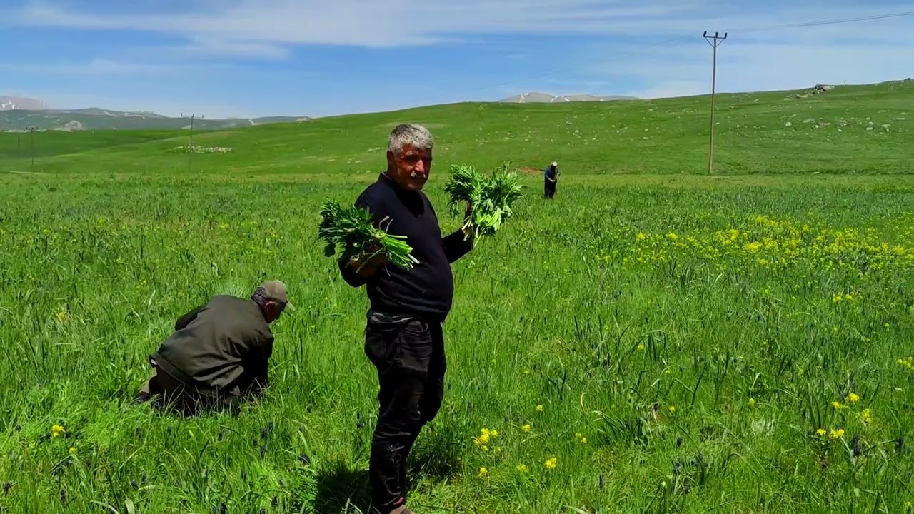 Şırnak faraşin yaylası dêro hinê