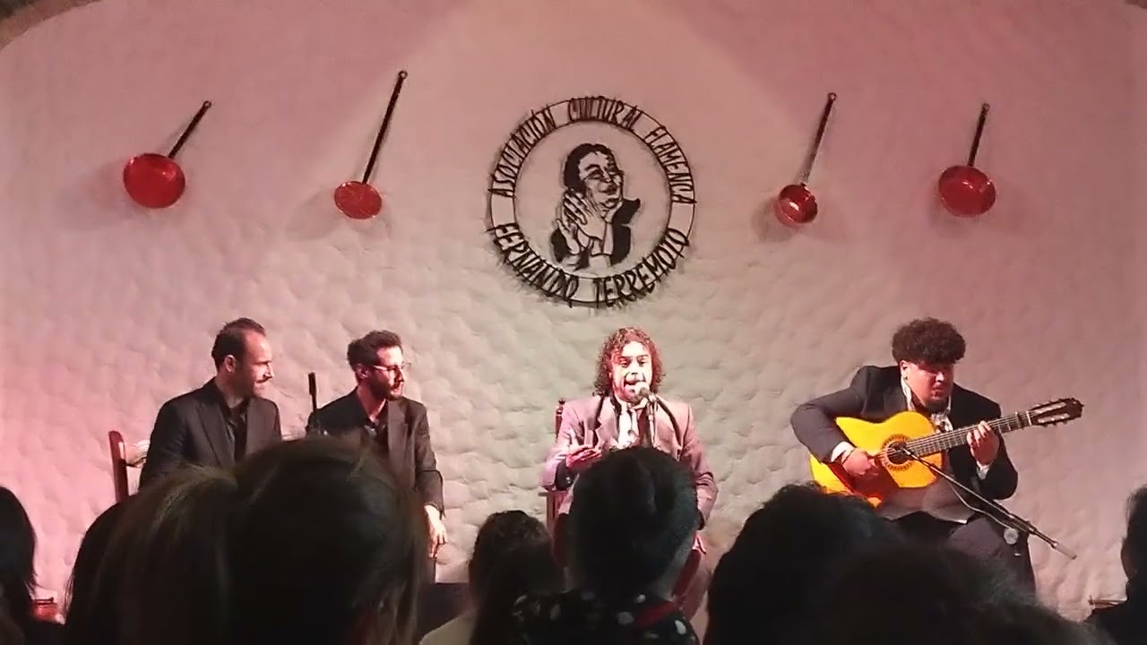 Cante por alegria, Jerez de la Frontera, Andalusia, España