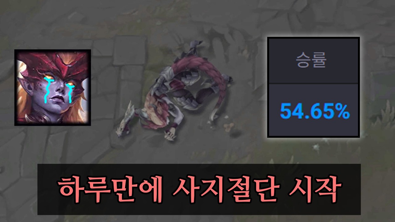 밸런스 개박살낸 역대 최강의 리메이크 쉬바나 긴급 너프