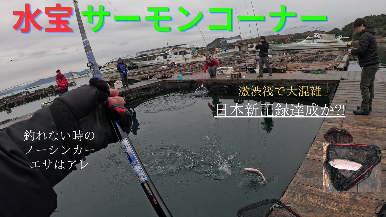 【海上釣堀】水宝 サーモンコーナー　激渋筏に17名集結！
