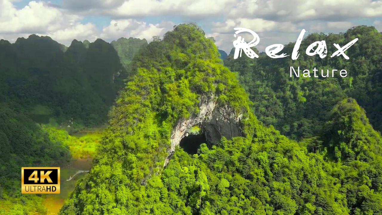 Relaxing Piano Music with Beautiful Nature i4K | Stress Relief & Calm Mind
