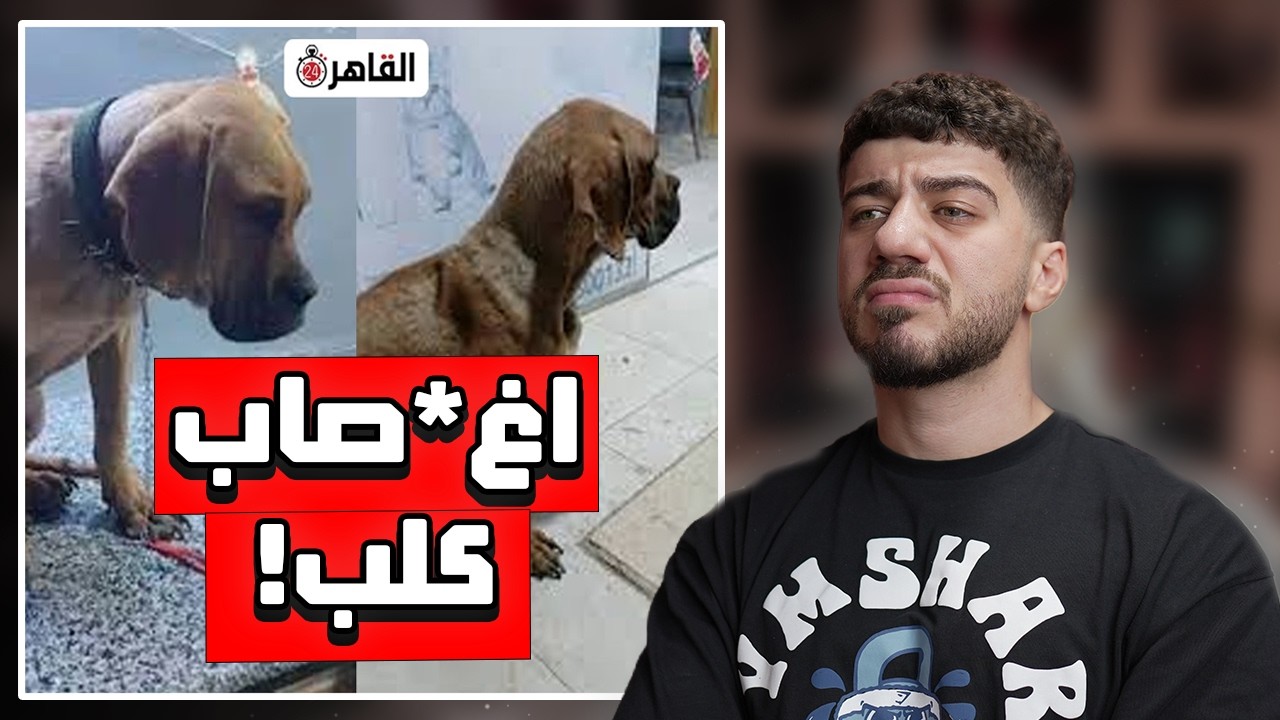 5 شباب اعتدو على كلب