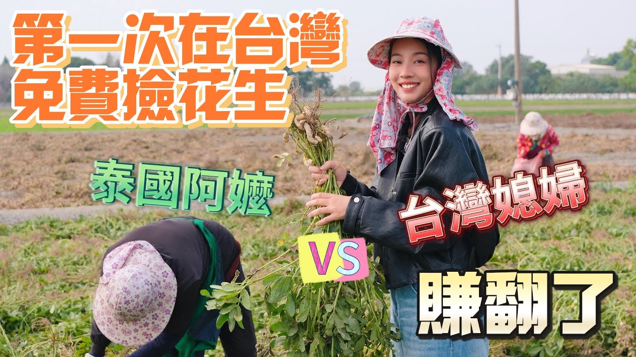 賺翻了！大陸媳婦在台灣免費撿花生，結果被一位嫁來台灣37年泰國阿嬤的台語震驚到！不說真的以為是台灣在地人！