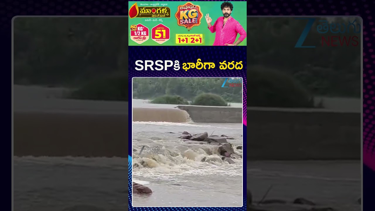 Telangana Rains | Heavy Water Inflow At SRSP |SRSPకి  భారీగా వరద | Zee Telugu News