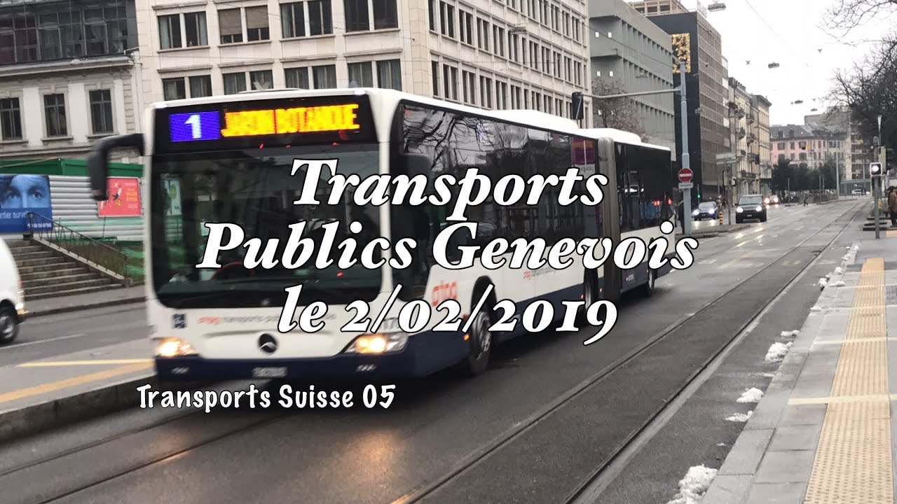 Transports Publics Genevois le 2/02/2019 | Transports Suisse 05