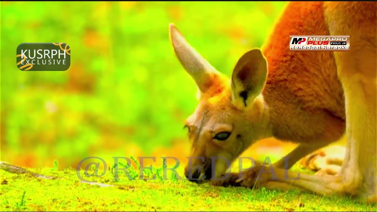 Still Loving You - Scorpions || Megapro plus midi karaoke 