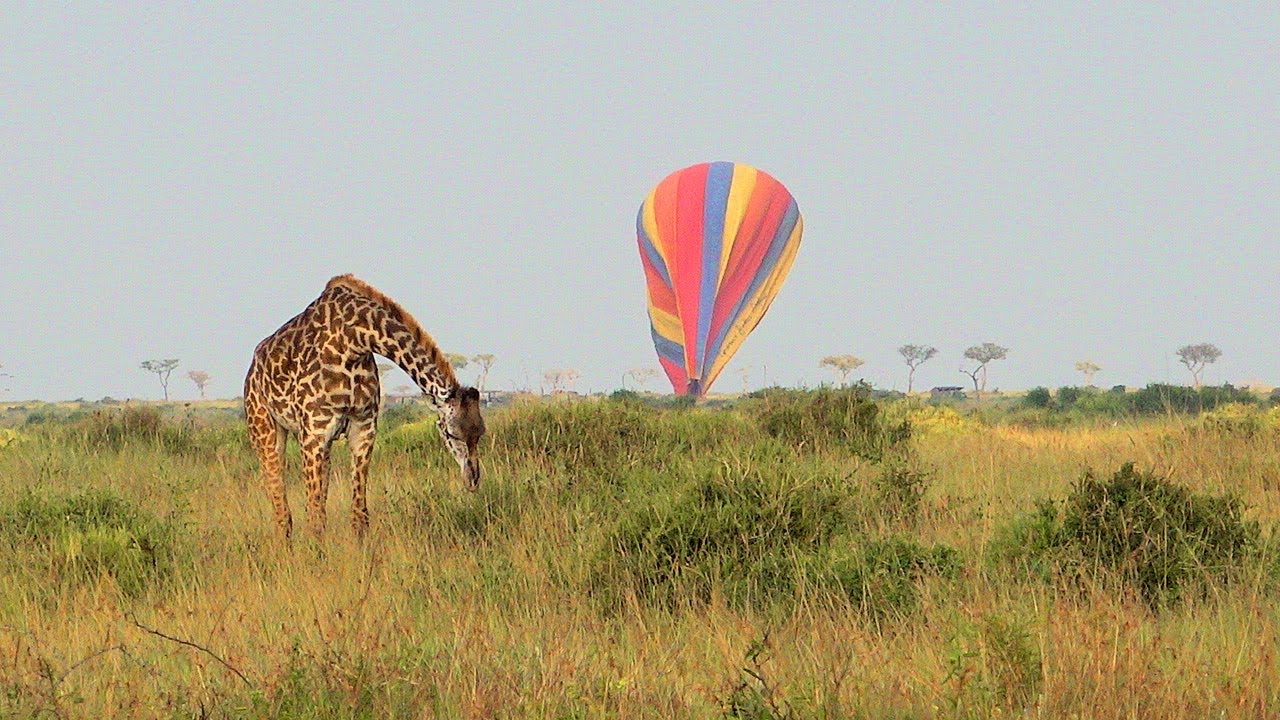 Kenya  --  Jackson Looseyia