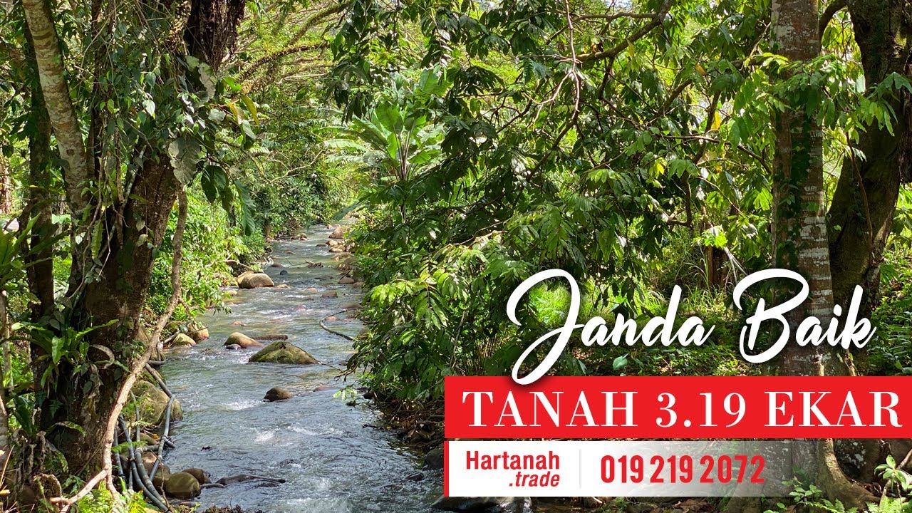 JANDA BAIK | Tanah 3.19 Ekar Dengan Sungai