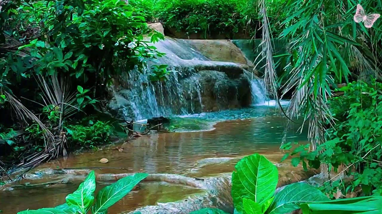 Relaxing Music For Stress Relief, Anxiety and Depressive States🌲 Heal Mind, Body and Soul Calm 96