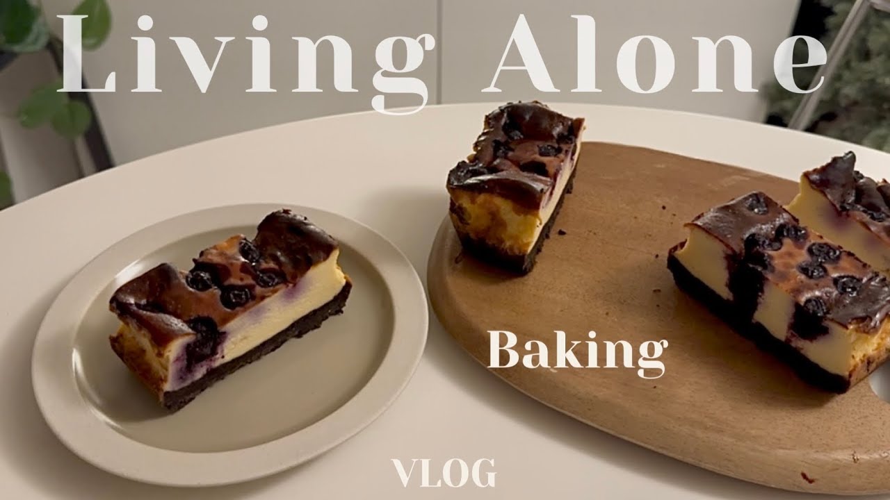 【無職vlog】ヨーグルトで作るベイクドチーズケーキ👩‍🍳