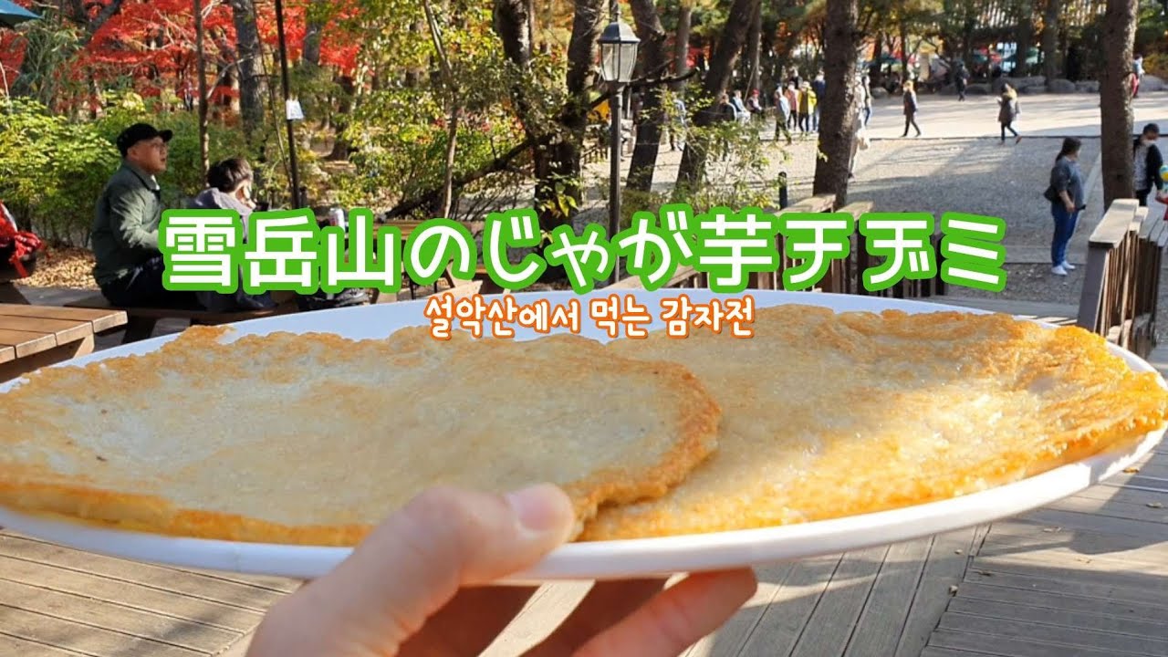 韓国の登山と言えばマッコリ‼秋の紅葉が美しすぎるソラク山の大自然を満喫【한글자막／韓国料理／韓国旅行／江原道グルメ／雪岳山国立公園／설악산국립공원】