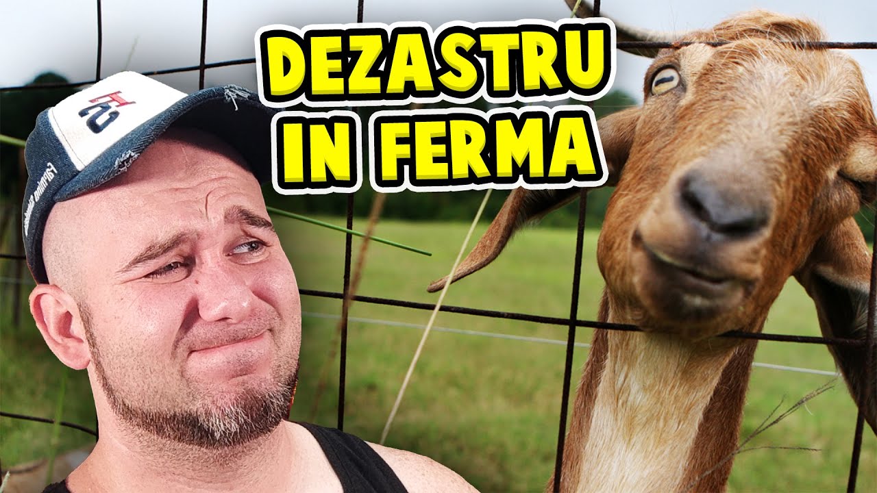NOUL UPDATE MI-A OMORAT TOATE ANIMALELE! Ranch Simulator