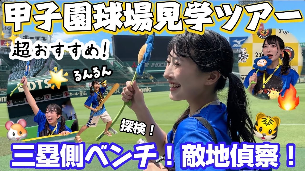 【甲子園球場】敵地偵察で、見学ツアー参加❗️楽しすぎた🐹🐯🔥