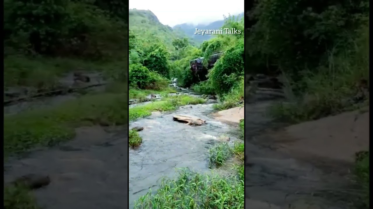 Go With the Flow Suruli #waterfall #trending