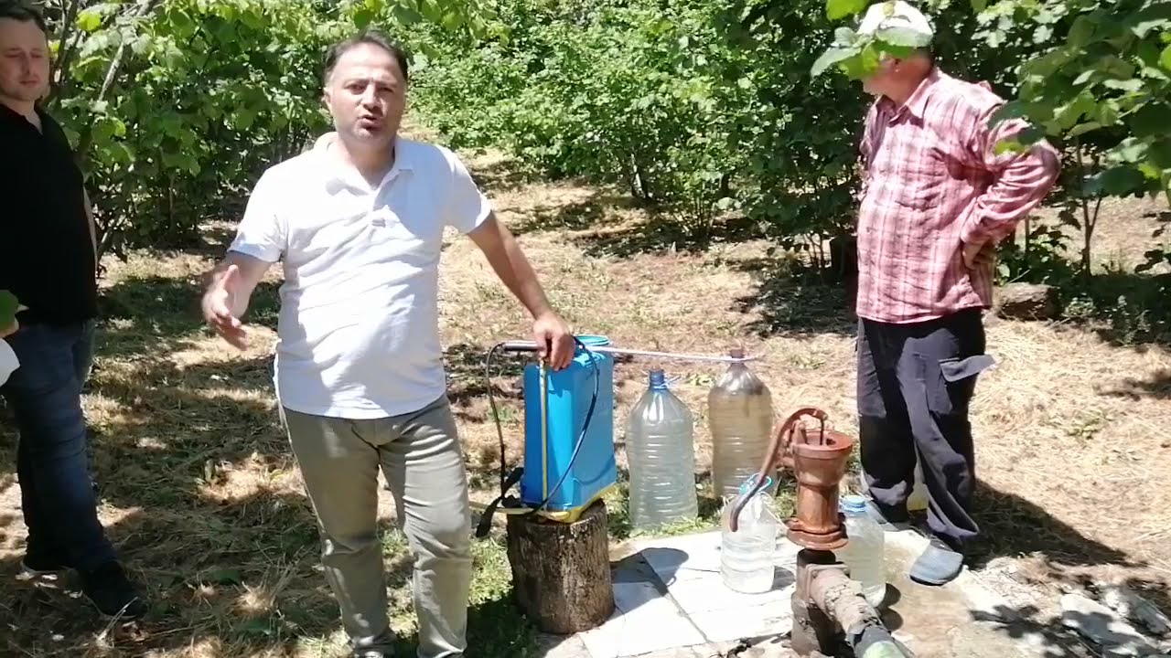 Fındıkta 